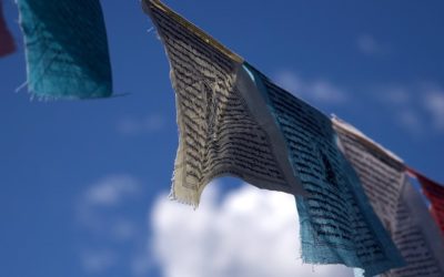 Vereinsinfo 30.07.2020